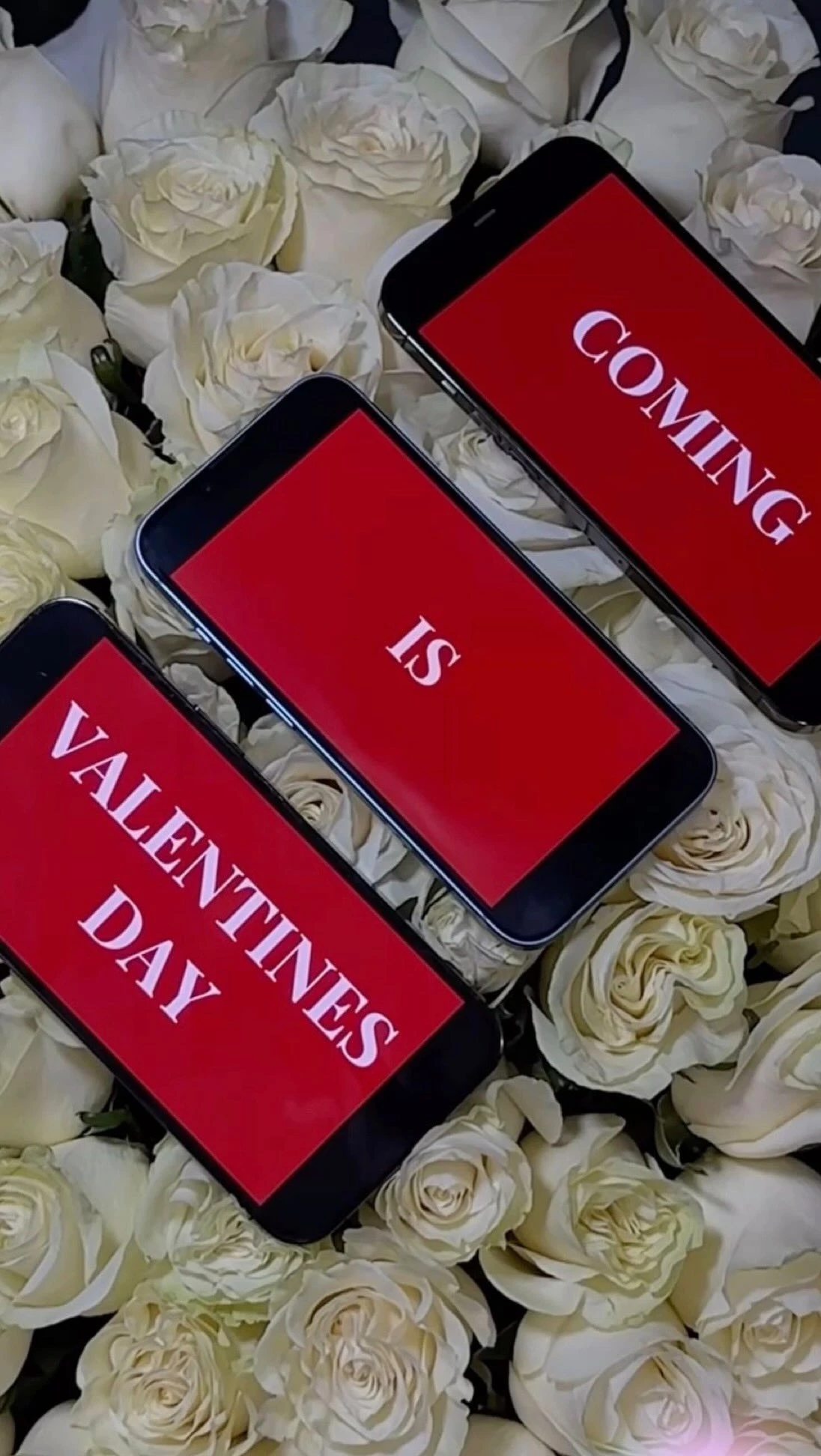 Valentine's Day gift ideas